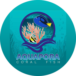 AQUAPORA CORAL FISH
